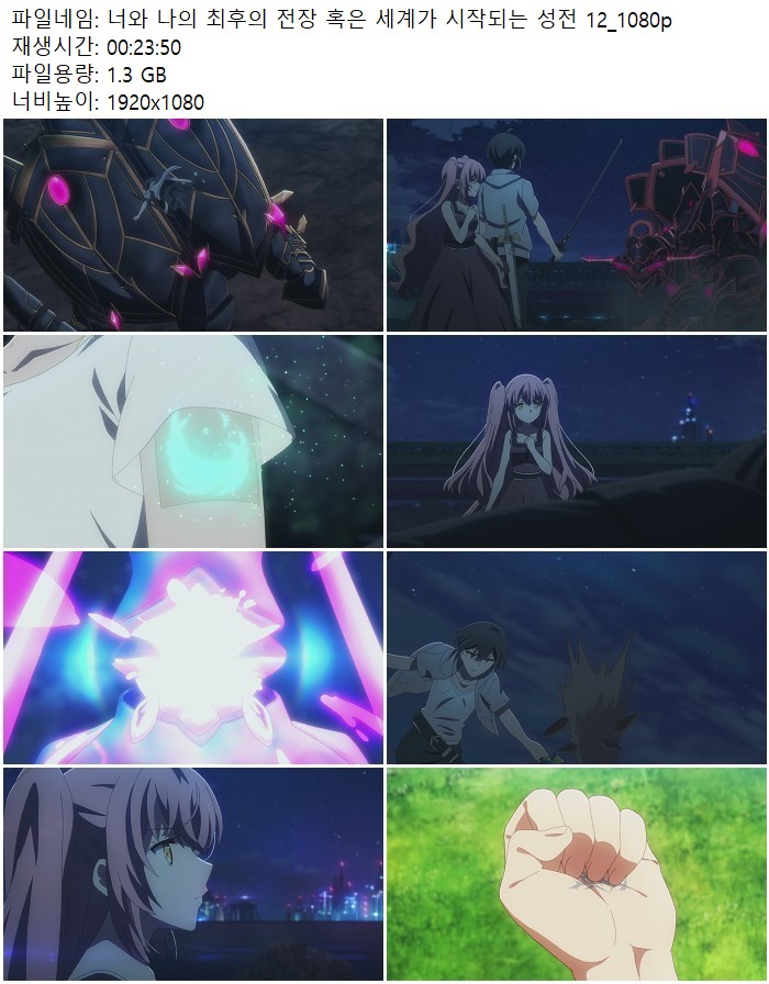 너와 나의 최후의 전장 혹은 세계가 시작되는 성전 12_1080p