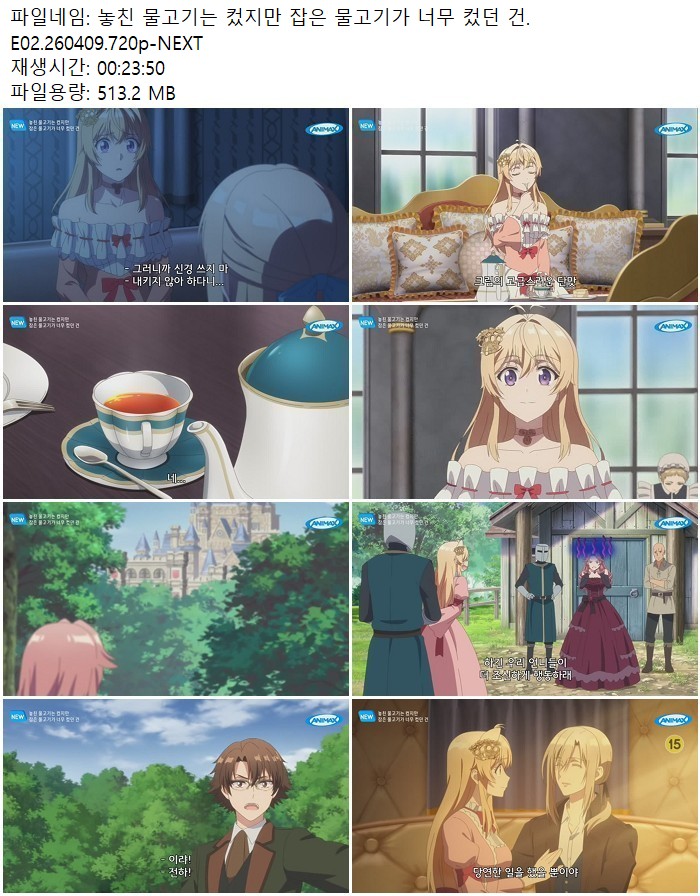 놓친 물고기는 컸지만 잡은 물고기가 너무 컸던 건.E02.260409.720..