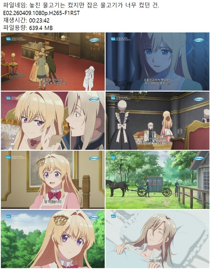 놓친 물고기는 컸지만 잡은 물고기가 너무 컸던 건.E02.260409.108..