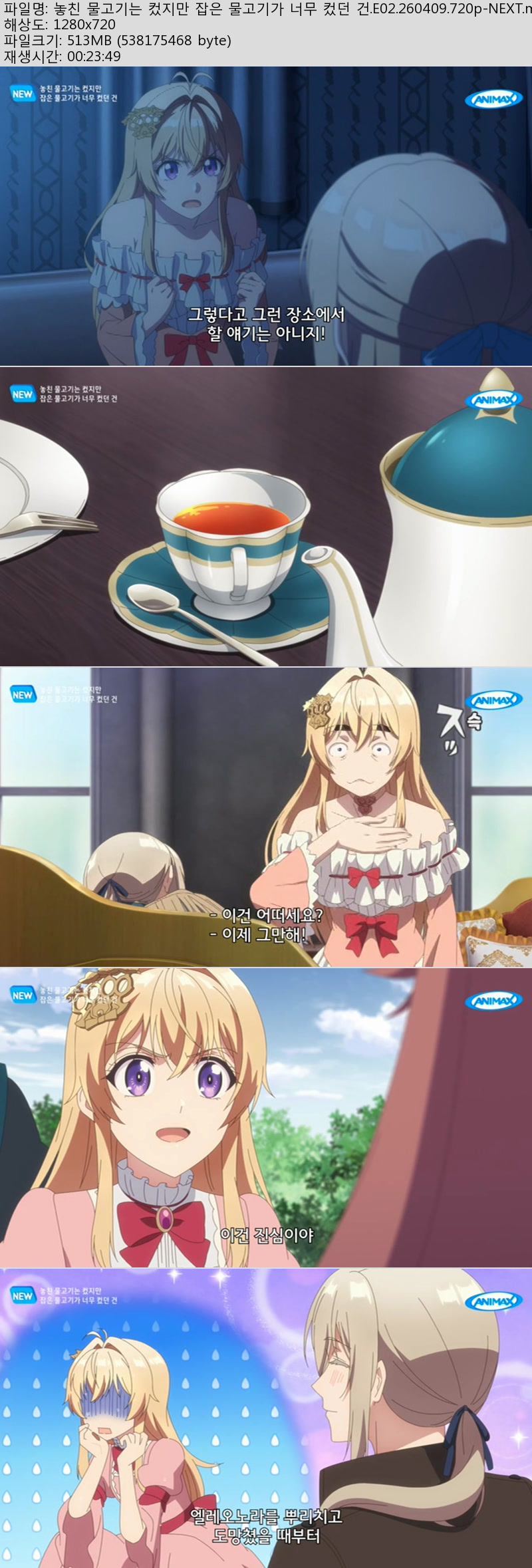 놓친 물고기는 컸지만 잡은 물고기가 너무 컸던 건.E02.260409.720..