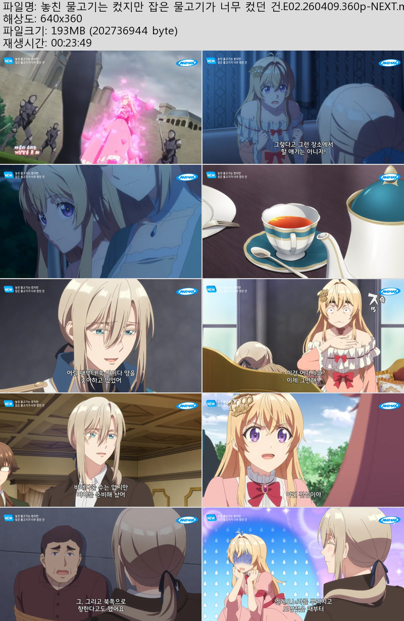 놓친 물고기는 컸지만 잡은 물고기가 너무 컸던 건.E02.260409.360..