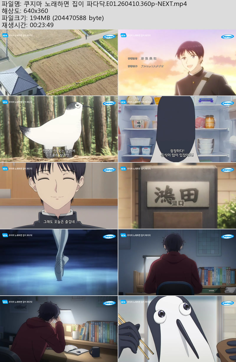 쿠지마 노래하면 집이 파다닥.E01.260410.360p-NEXT
