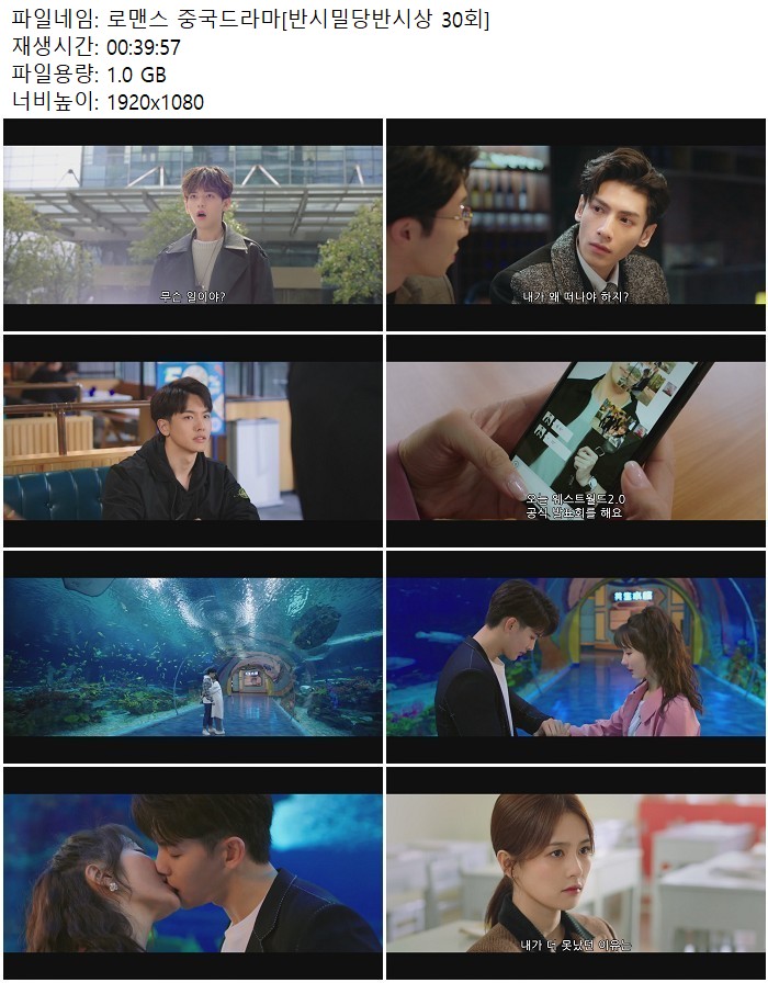 로맨스 중국드라마[반시밀당반시상 30회]