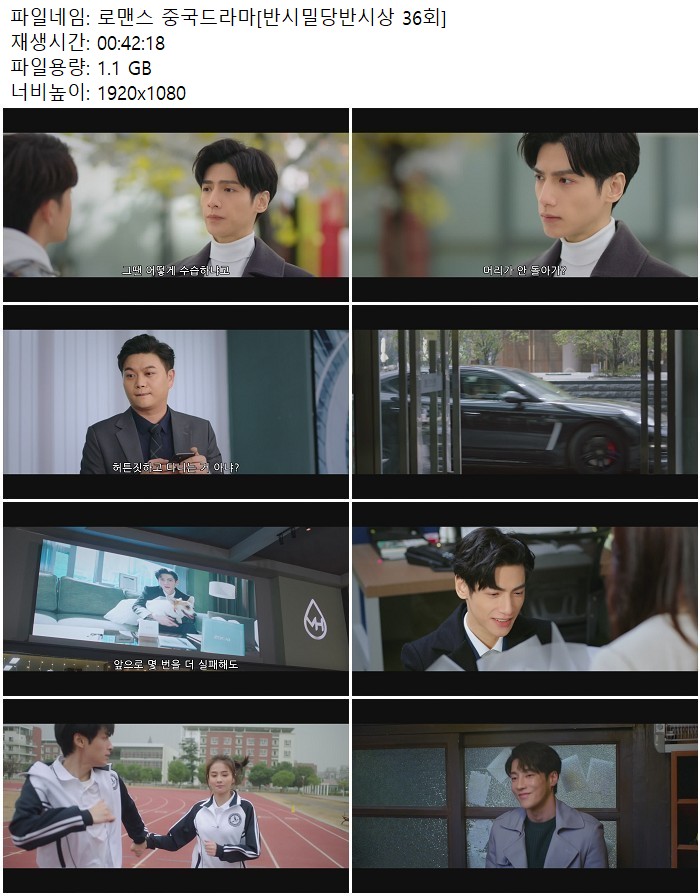 로맨스 중국드라마[반시밀당반시상 36회]