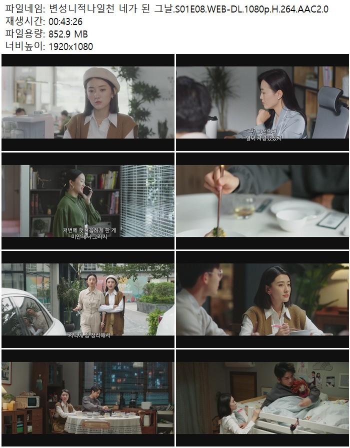 변성니적나일천 네가 된 그날.S01E08.WEB-DL.1080p.H.264.AAC2.0