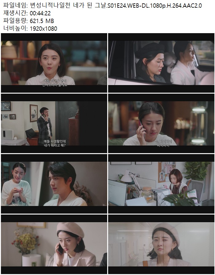 변성니적나일천 네가 된 그날.S01E24.WEB-DL.1080p.H.264.AAC2.0