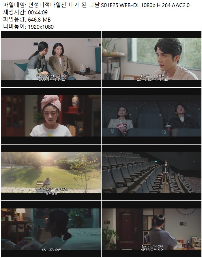 변성니적나일천 네가 된 그날.S01E25.WEB-DL.1080p.H.264.AAC2.0