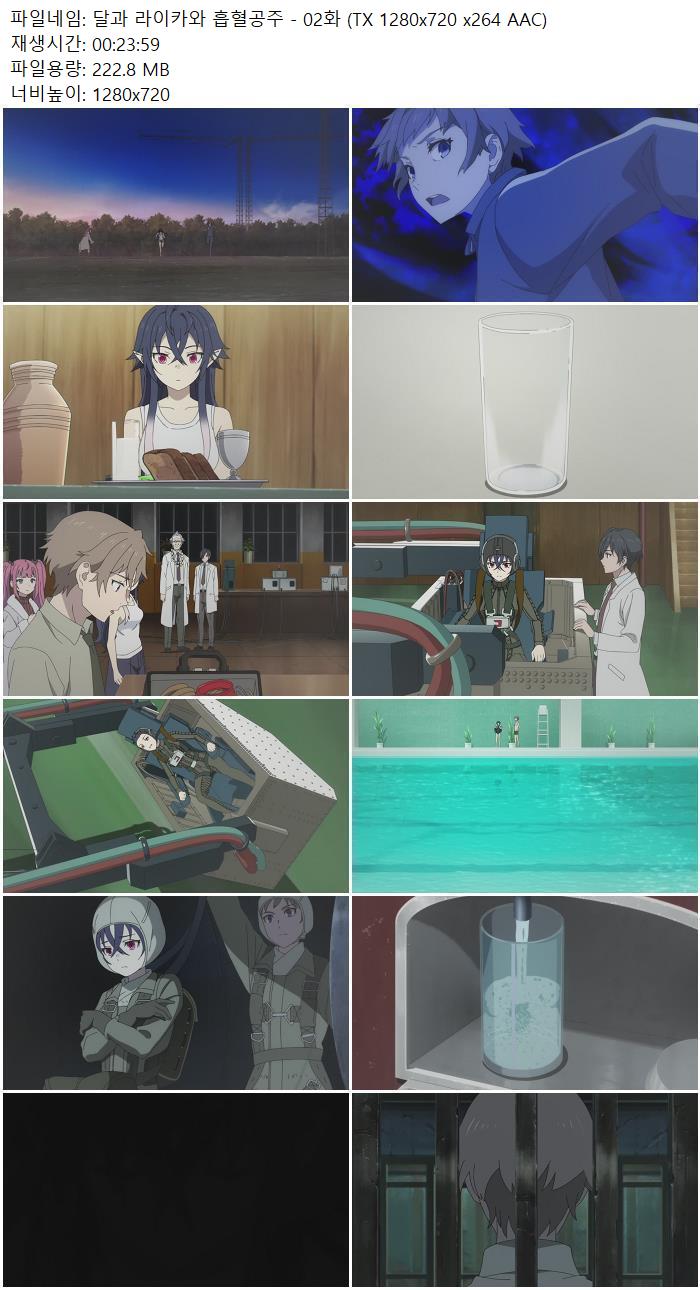 달과 라이카와 흡혈공주 - 02화 (TX 1280x720 x264 AAC)