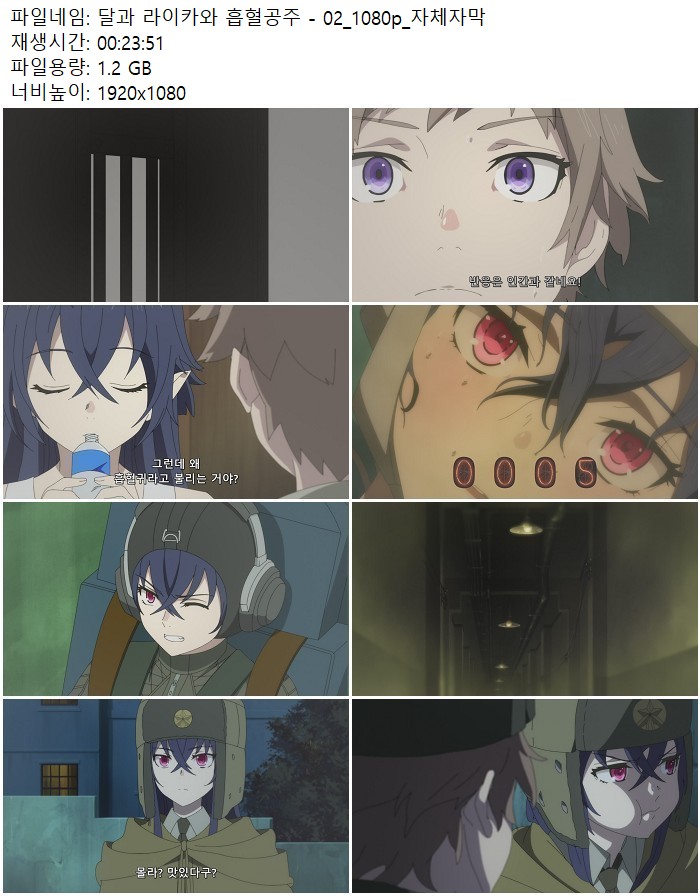 달과 라이카와 흡혈공주 - 02_1080p_자체자막