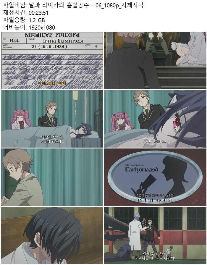 달과 라이카와 흡혈공주 - 06_1080p_자체자막