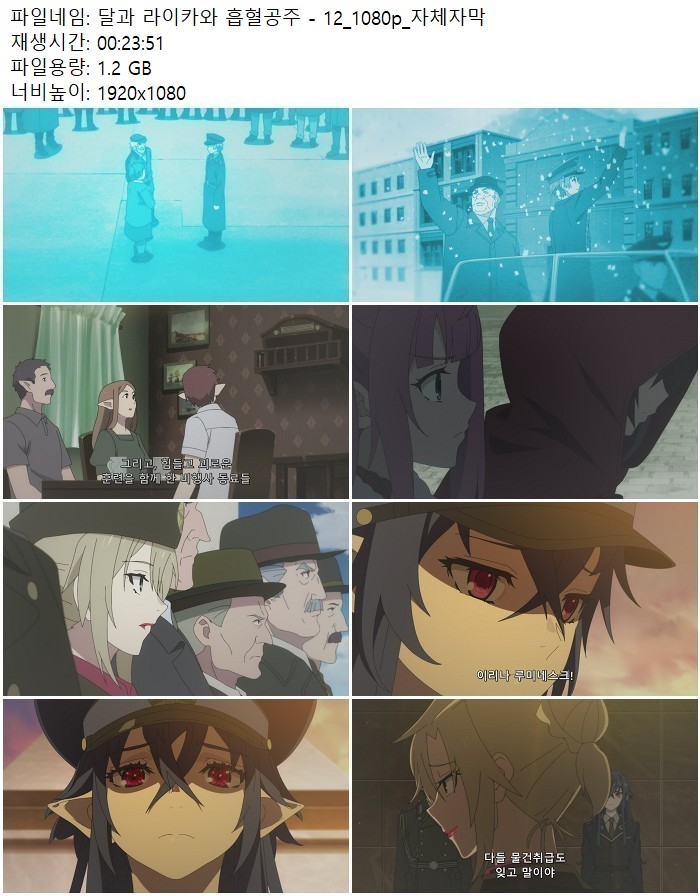 달과 라이카와 흡혈공주 - 12_1080p_자체자막
