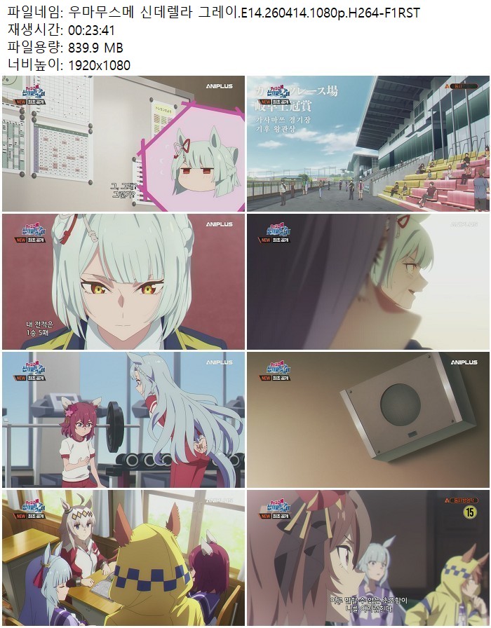 우마무스메 신데렐라 그레이.E14.260414.1080p.H264