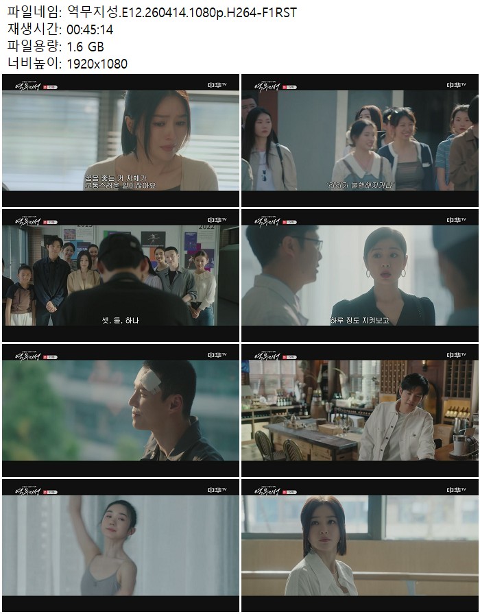 역무지성.E12.260414.1080p.H264