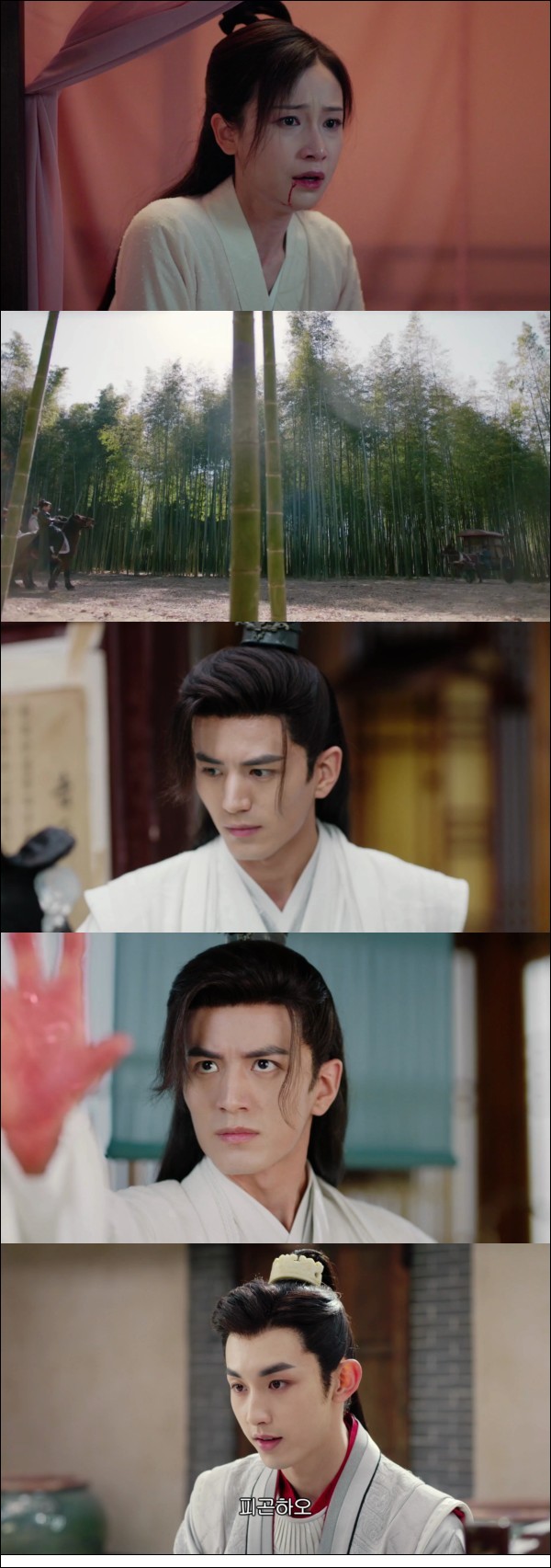 분명 첫 만남인데 두 번째 첫 만남이[제2차초견 31화]