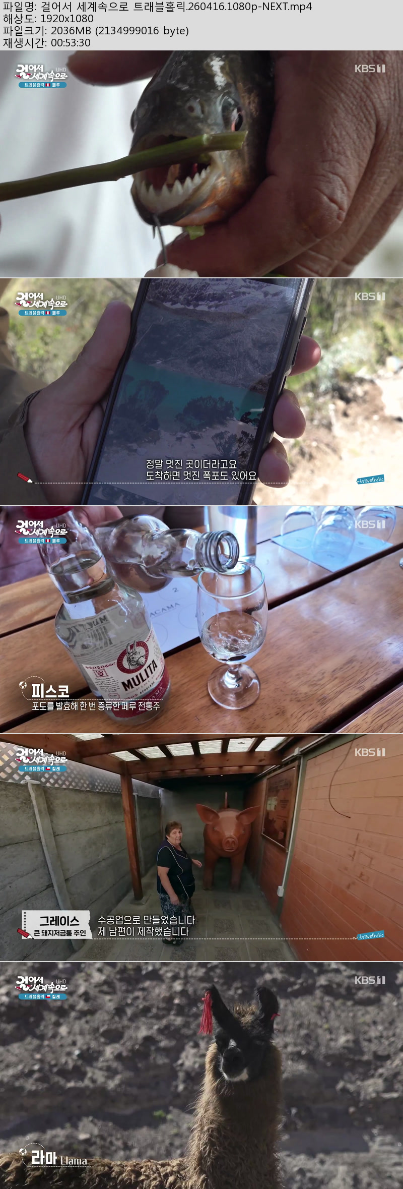 걸어서 세계속으로 트래블홀릭.260416.1080p-NEXT