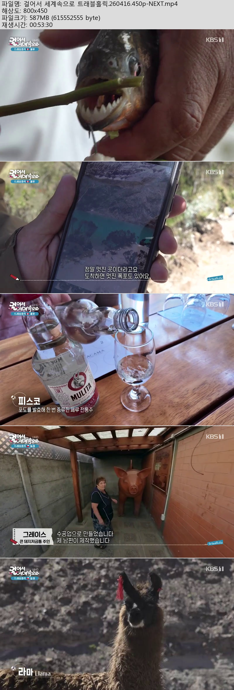 걸어서 세계속으로 트래블홀릭.260416.450p-NEXT