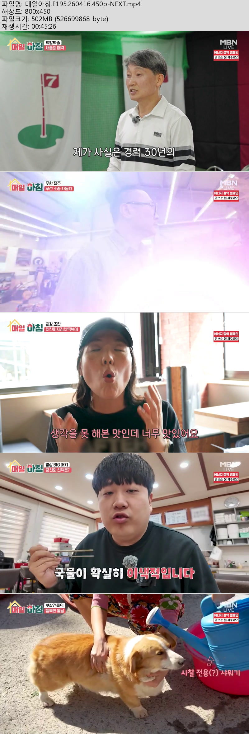 매일아침.E195.260416.450p-NEXT