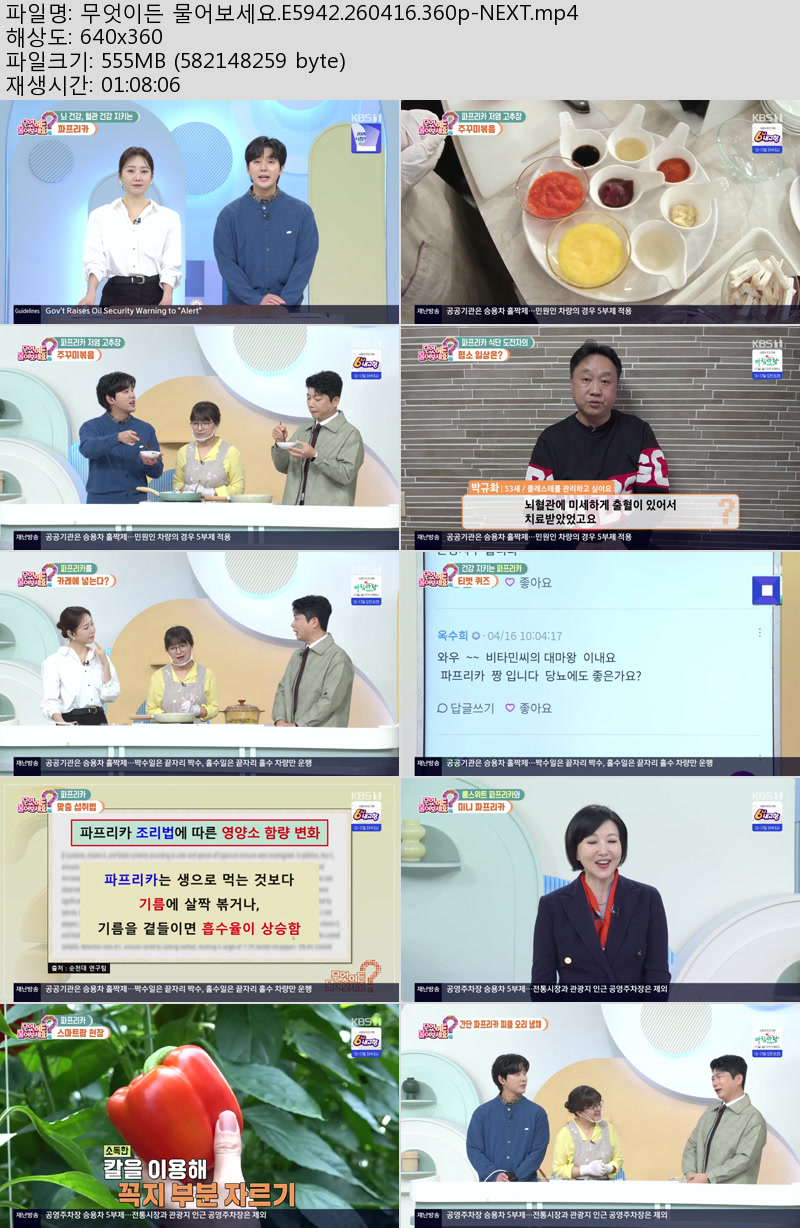 무엇이든 물어보세요.E5942.260416.360p-NEXT