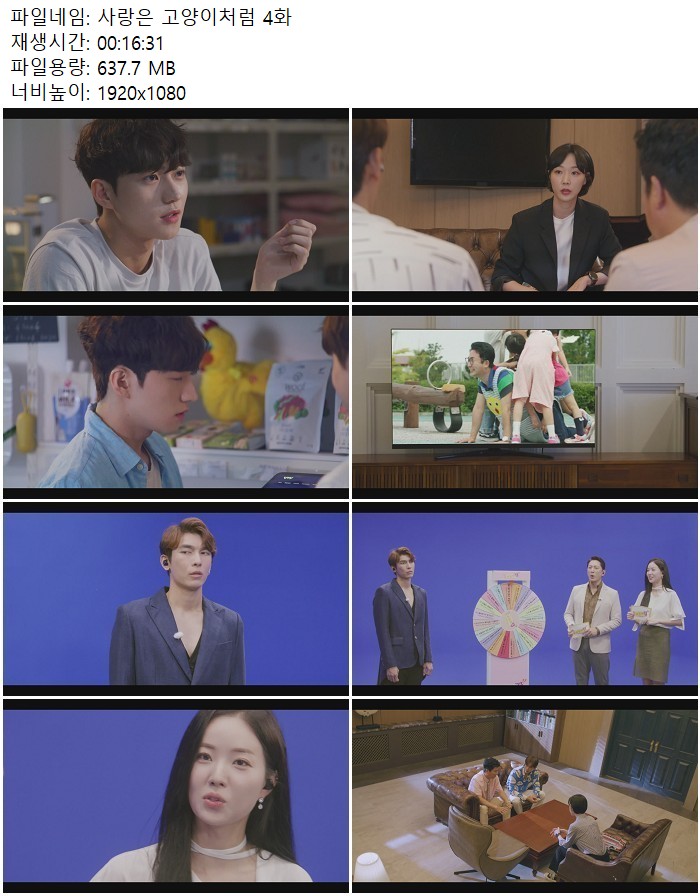 사랑은 고양이처럼 5화