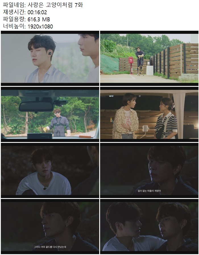 사랑은 고양이처럼 7화