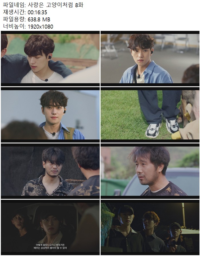 사랑은 고양이처럼 8화