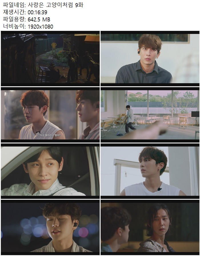 사랑은 고양이처럼 9화