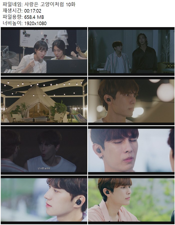 사랑은 고양이처럼 10화