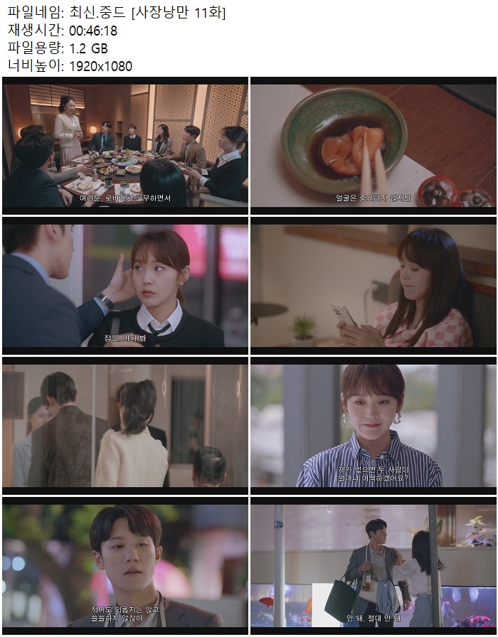 최신.중드 [사장낭만 11화]