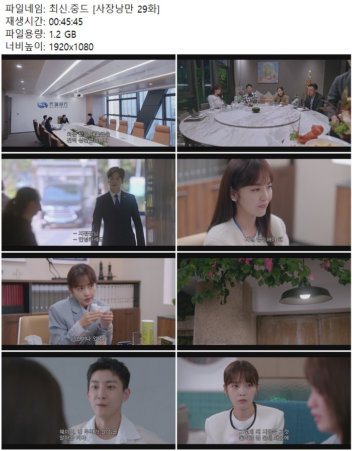 최신.중드 [사장낭만 29화]