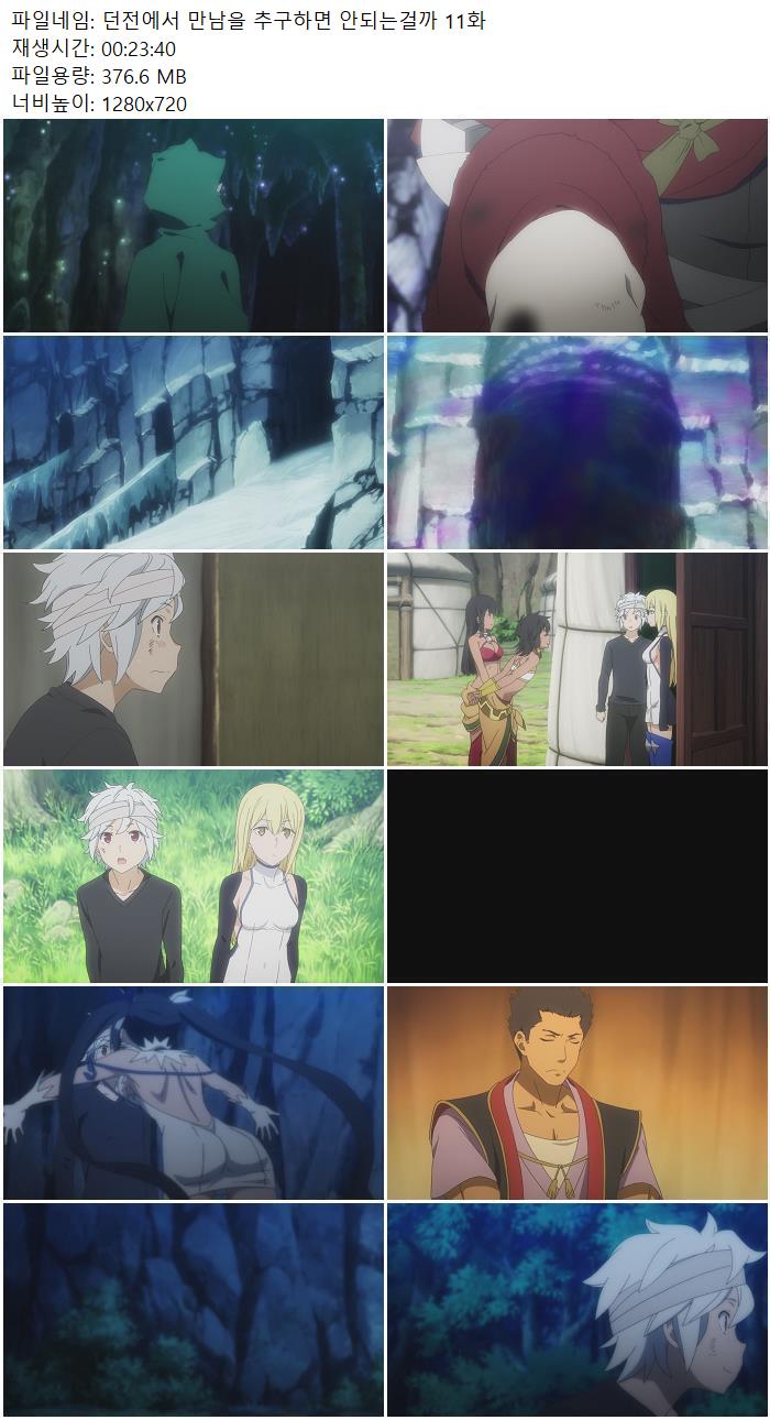 던전에서 만남을 추구하면 안되는걸까 11화