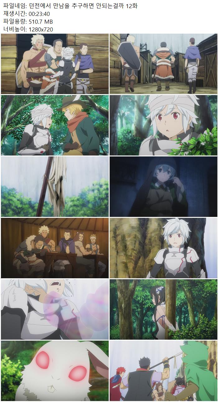 던전에서 만남을 추구하면 안되는걸까 12화