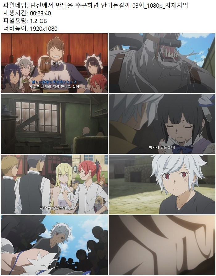 던전에서 만남을 추구하면 안되는걸까 03화_1080p_자체자막