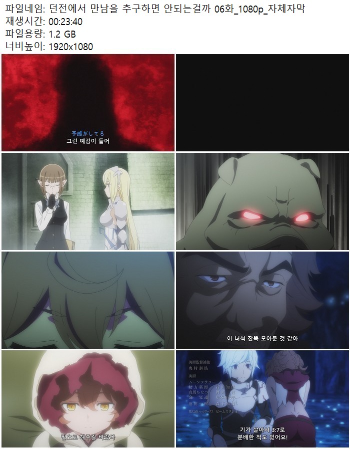 던전에서 만남을 추구하면 안되는걸까 06화_1080p_자체자막