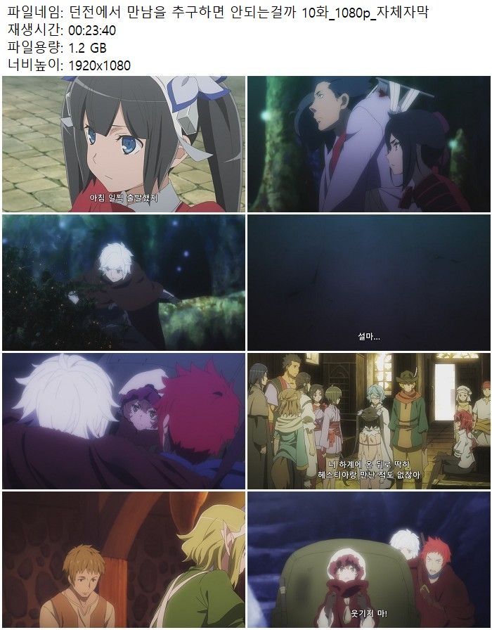 던전에서 만남을 추구하면 안되는걸까 10화_1080p_자체자막