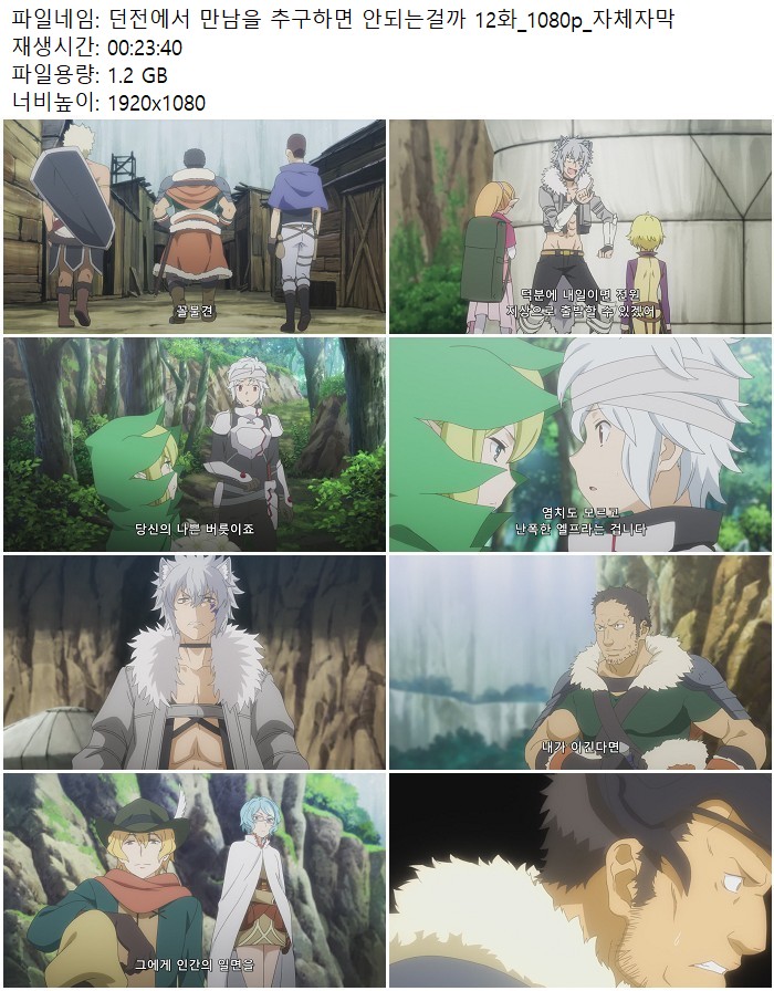 던전에서 만남을 추구하면 안되는걸까 12화_1080p_자체자막
