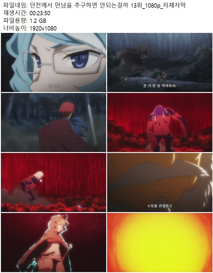 던전에서 만남을 추구하면 안되는걸까 13화_1080p_자체자막