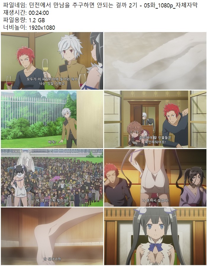 던전에서 만남을 추구하면 안되는 걸까 2기 - 05화_1080p_자체자막