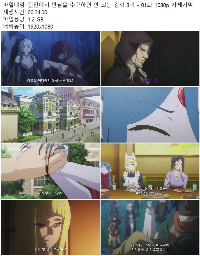 던전에서 만남을 추구하면 안 되는 걸까 3기 - 01화_1080p_자체자막