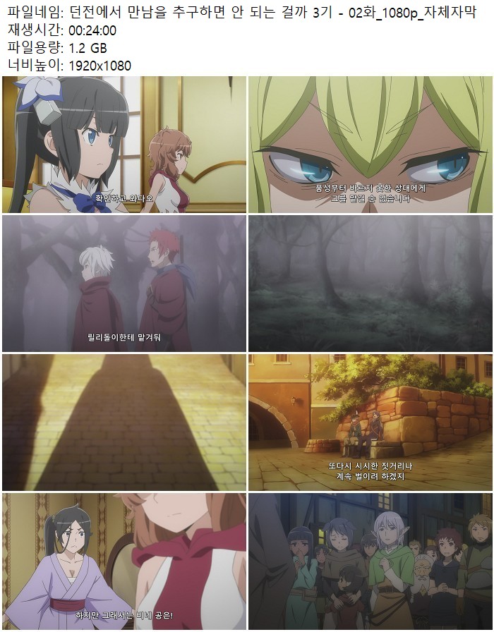 던전에서 만남을 추구하면 안 되는 걸까 3기 - 02화_1080p_자체자막