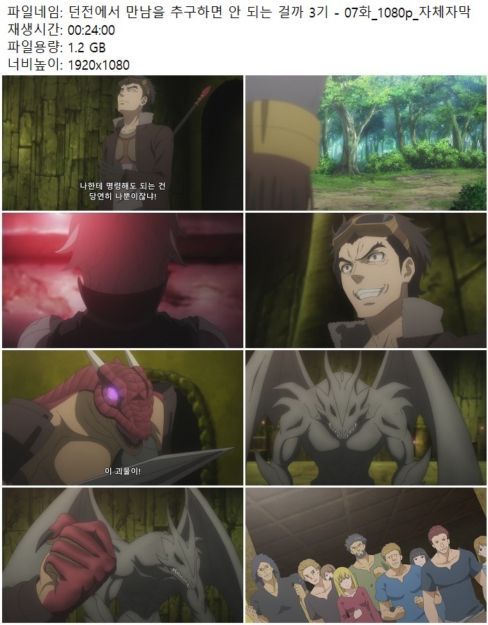 던전에서 만남을 추구하면 안 되는 걸까 3기 - 07화_1080p_자체자막