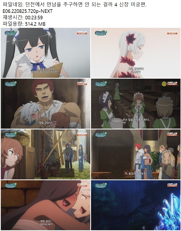 던전에서 만남을 추구하면 안 되는 걸까 4 신장 미궁편.E06.220825..