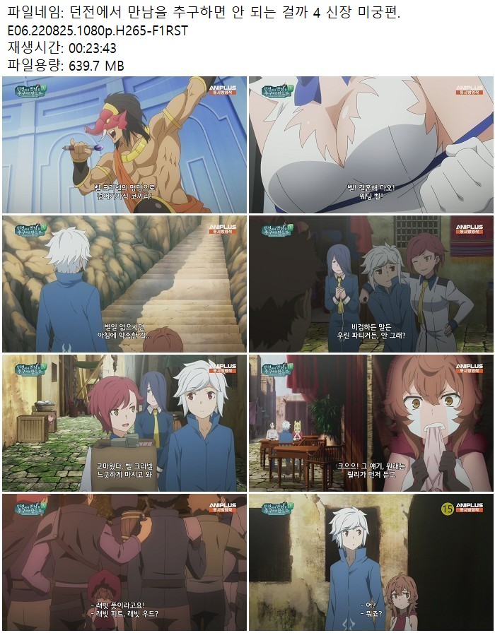 던전에서 만남을 추구하면 안 되는 걸까 4 신장 미궁편.E06.220825..