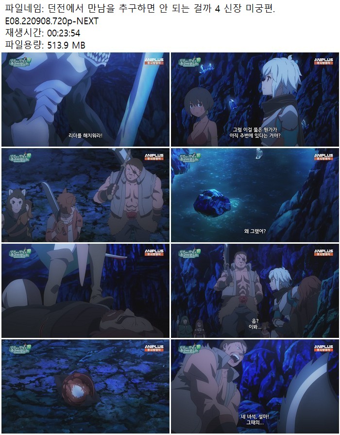던전에서 만남을 추구하면 안 되는 걸까 4 신장 미궁편.E08.220908..