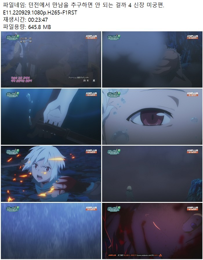 던전에서 만남을 추구하면 안 되는 걸까 4 신장 미궁편.E11.220929..