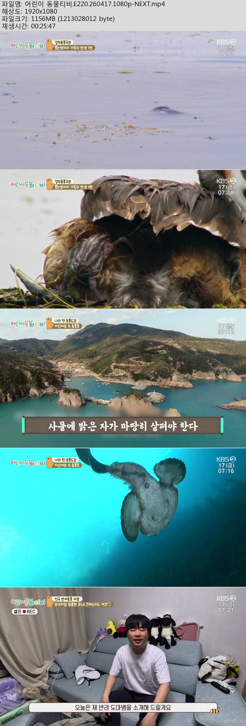 어린이 동물티비.E220.260417.1080p-NEXT