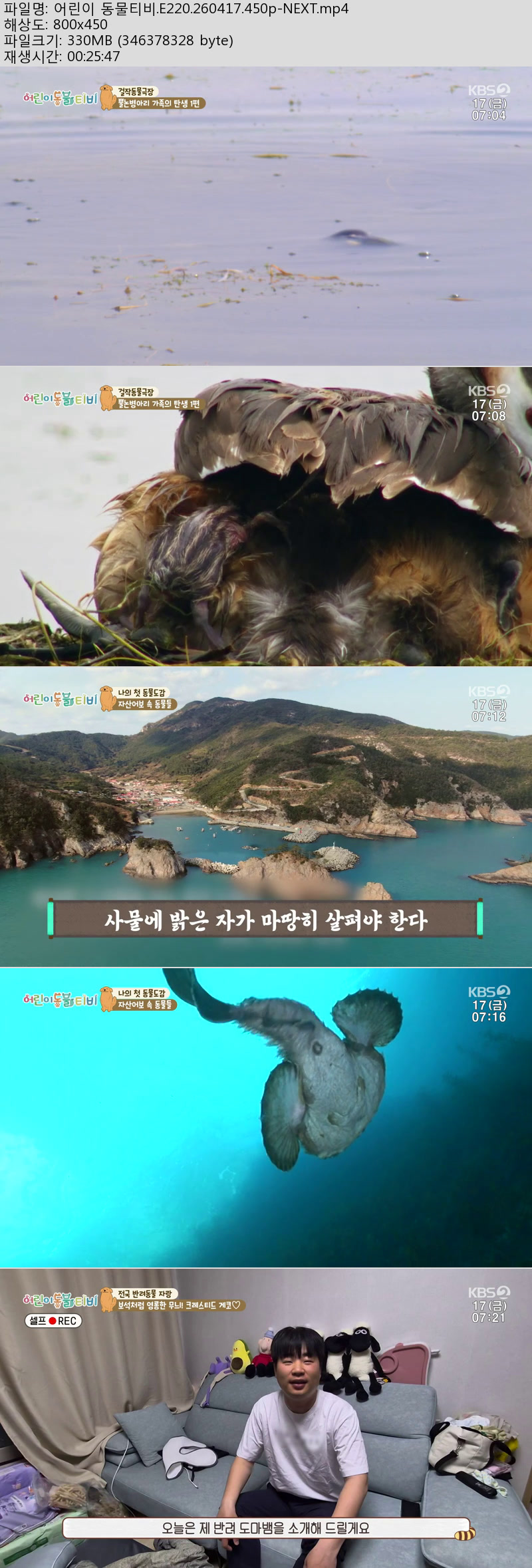 어린이 동물티비.E220.260417.450p-NEXT