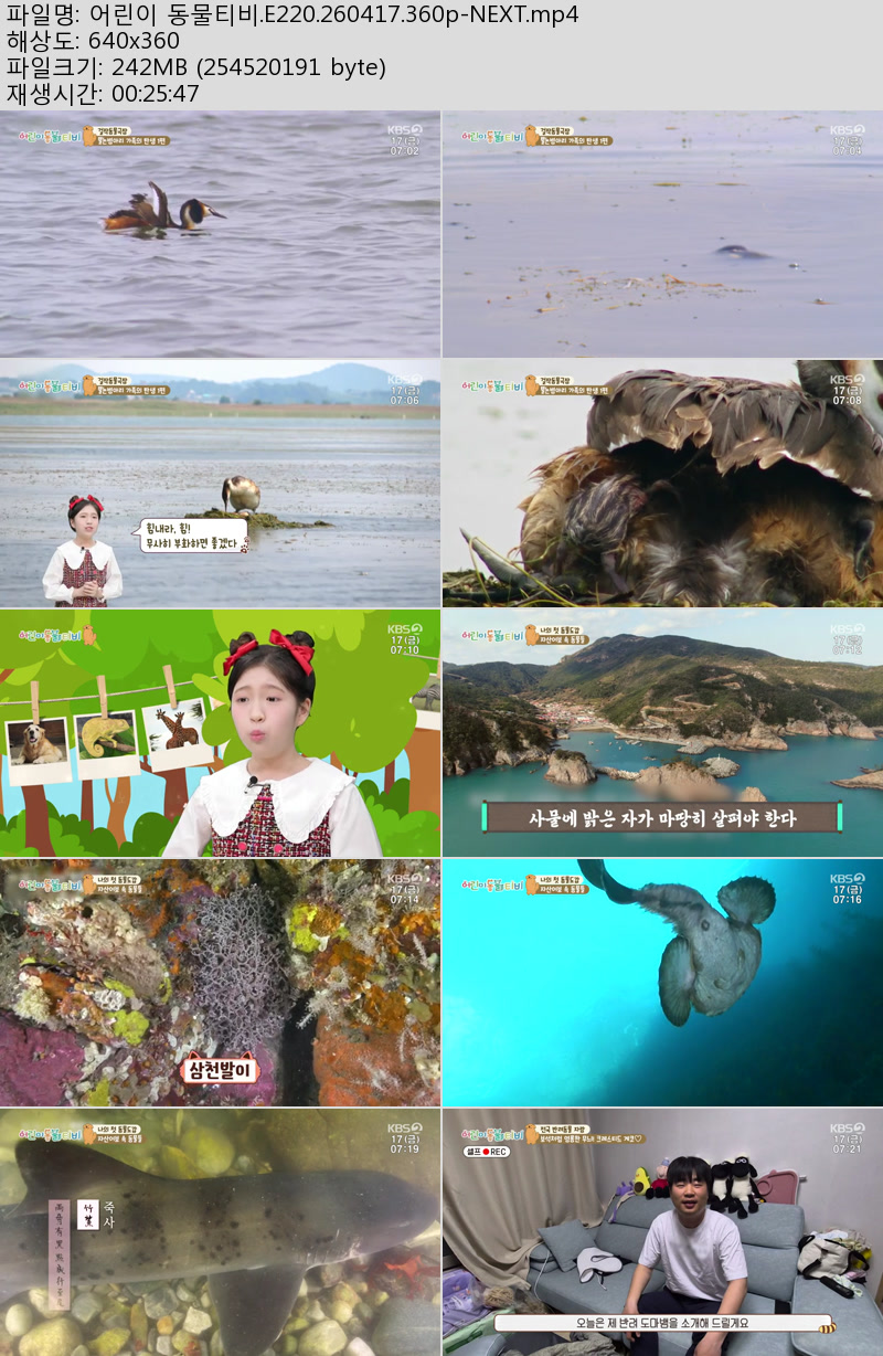 어린이 동물티비.E220.260417.360p-NEXT