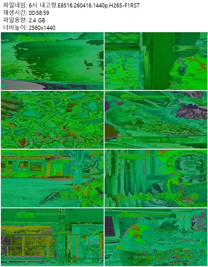 6시 내고향.E8516.260416.1440p.H265