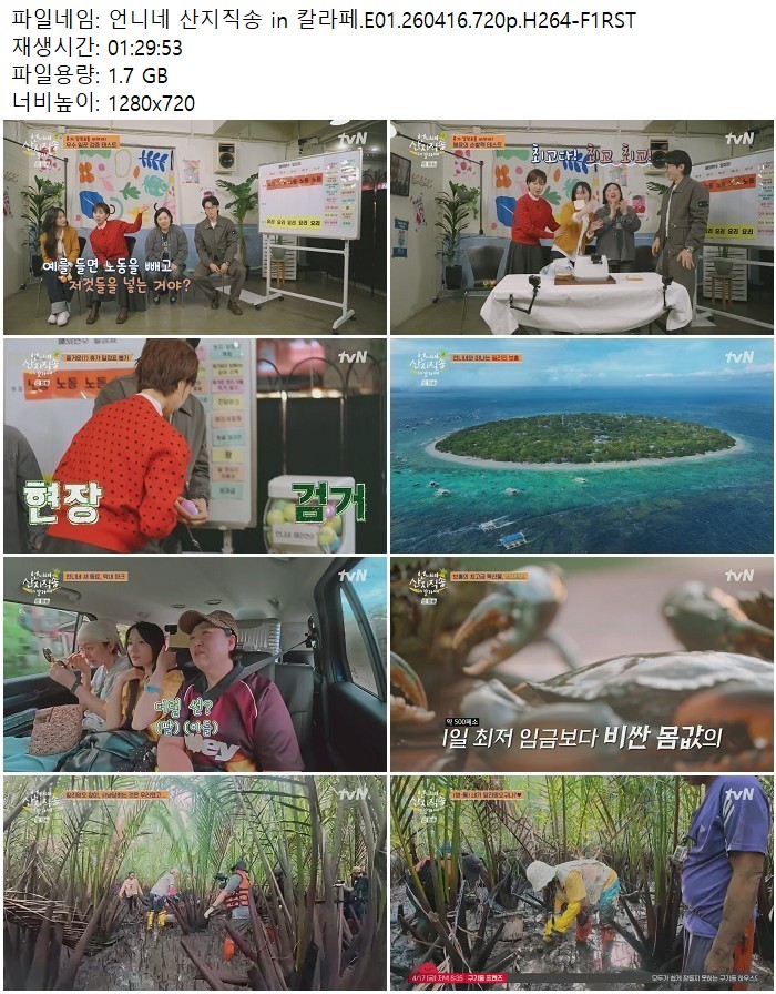 언니네 산지직송 in 칼라페.E01.260416.720p.H264