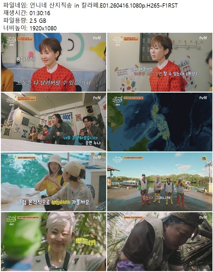 언니네 산지직송 in 칼라페.E01.260416.1080p.H265